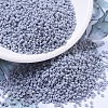 MIYUKI Round Rocailles Beads LS-X-SEED-G007-RR0498-1