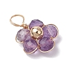 Natural Amazonite & Apatite & Rose Quartz & Amethyst & Red Agate Faceted Round Beaded Pendants PALLOY-JF03606-01-4