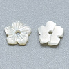 Natural White Shell Beads SSHEL-S260-003-2