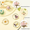 5Pcs 5 Styles Transparent Clear Epoxy Resin Pendants RESI-YW0004-21-3