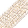 Natural Cultured Freshwater Pearl Beads Strands PEAR-E016-103-1