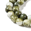 Baking Paint Glass Bead Strands GLAA-H031-01B-14-4