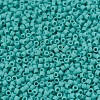 MIYUKI Delica Beads SEED-X0054-DB0759-3