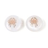 Natural Freshwater Shell Beads SHEL-N037-02L-G-3