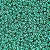 MIYUKI Round Rocailles Beads X-SEED-G007-RR5105-2