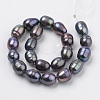Natural Cultured Freshwater Pearl Beads Strands X-PEAR-S012-36-2