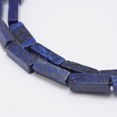 Dyed & Natural Lapis Lazuli Beads Strands G-F402-11-1