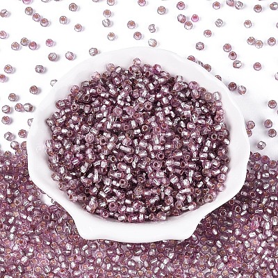 Silver Lined Glass Seed Beads SEED-T007-18A-10-1