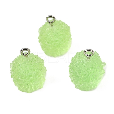Resin Pendants FIND-U031-11A-P-1