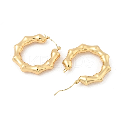 304 Stainless Steel Polygon Hoop Earrings EJEW-Q011-13G-1-1