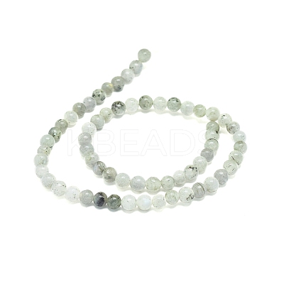 Natural Labradorite Beads Strands G-G828-01-6mm-1