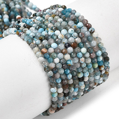 Natural Apatite Beads Strands G-K366-C05-2mm-1