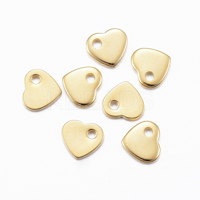 304 Stainless Steel Charms STAS-H557-28G-1