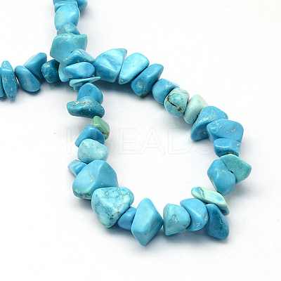 Dyed Synthetic Turquoise Stone Bead Strands X-G-R192-B24-1