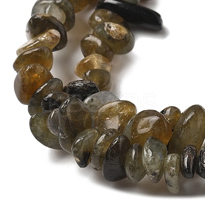 Natural Labradorite Beads Strands G-P332-23-1