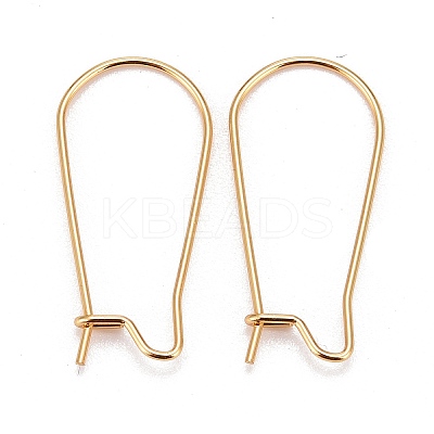 316 Surgical Stainless Steel Hoop Earring Findings X-STAS-A056-12G-B-1