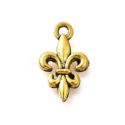 Tibetan Style Alloy Pendants LS-TIBE-L008-15AG-1