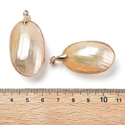Electroplate Natural Shell Big Pendants KK-F882-05G-1