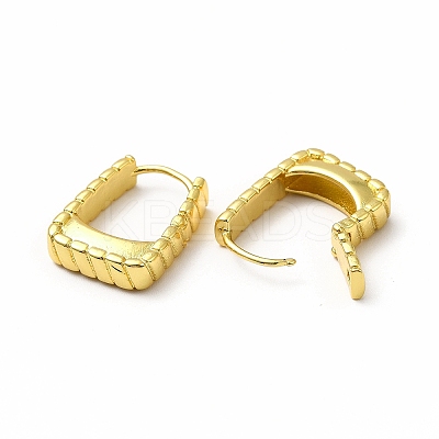 Rack Plating Brass Hoop Earrings EJEW-H093-04G-1