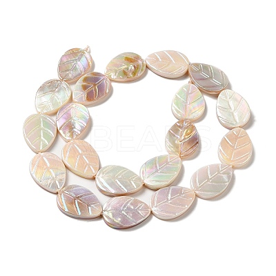 Natural Freshwater Shell Beads Strands SHEL-K006-35-1