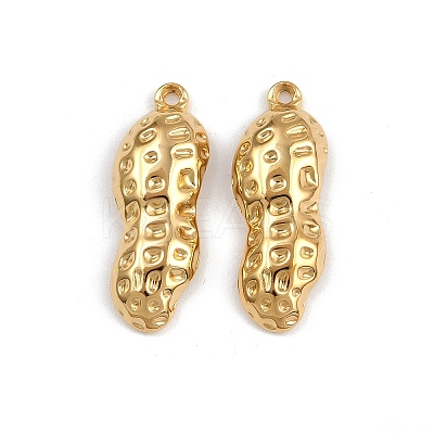 304 Stainless Steel Pendants STAS-P410-06G-1