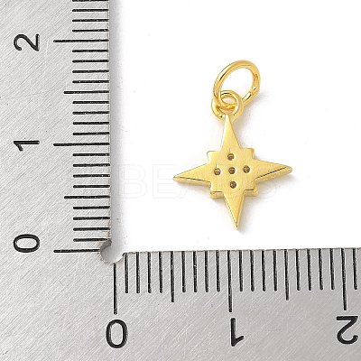 S925 Sterling Silver Micro Pave Cubic Zirconia Pendant STER-H115-02B-G-1