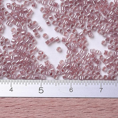 MIYUKI Delica Beads SEED-X0054-DB0256-1