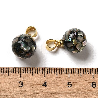 Natural Paua Shell Dyed Round Charms SSHEL-H071-01G-05-1