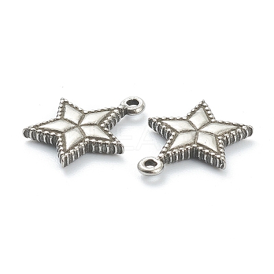 Non-Tarnish 304 Stainless Steel Charms LS-STAS-P279-47P-1