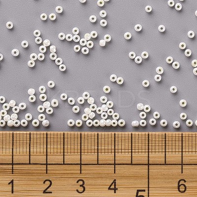 11/0 FGB Grade A Round Glass Seed Beads SEED-N001-B-0482-1