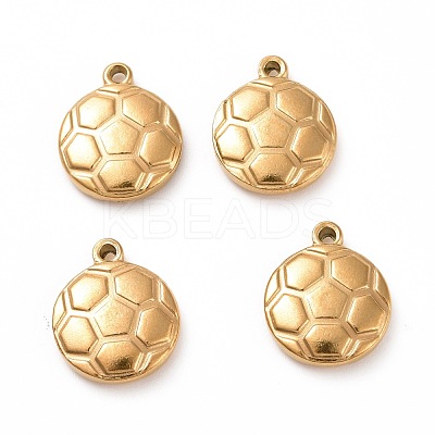 304 Stainless Steel Charms STAS-G071-23G-1