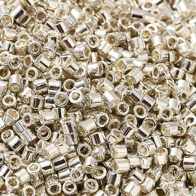 Electroplate Glass Seed Beads SEED-S042-01B-08-1