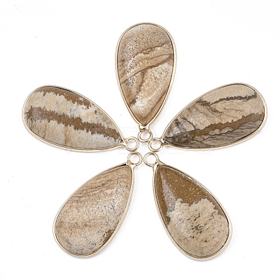 Natural Picture Jasper Pendants G-S344-51E-1