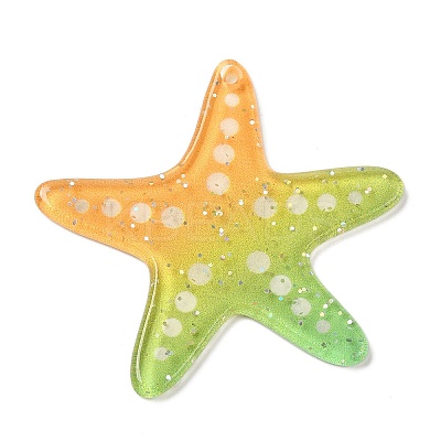 Acrylic Pendants LS-FIND-Q105-06B-01-1