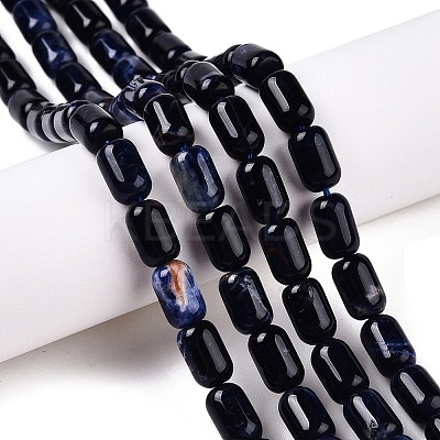 Natural Sodalite Beads Strands G-G980-37B-1
