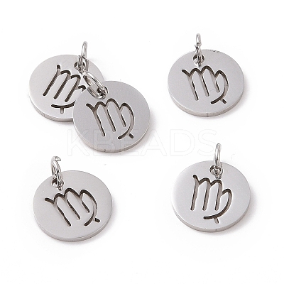 Non-Tarnish 304 Stainless Steel Charms STAS-Q201-T445-6S-1