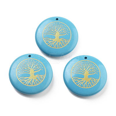 Dyed Synthetic Turquoise Carved Pendants G-H007-06H-1