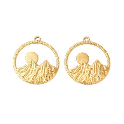 Ion Plating(IP) 304 Stainless Steel Pendants LS-STAS-L268-010G-1