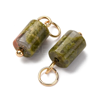 Natural Unakite Column Charms with 304 Stainless Steel Jump Rings G-Q032-01B-1