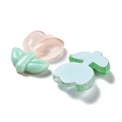 Translucent Resin Cabochons RESI-G084-15-1