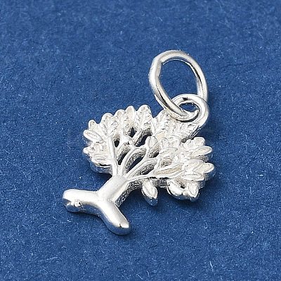 925 Sterling Silver Charms STER-NH0001-34S-1