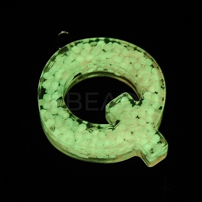 Luminous Resin Pendants X1-RESI-I059-Q01-1
