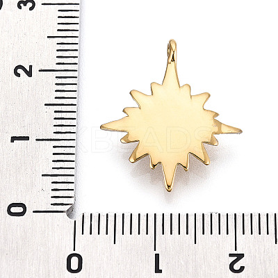 316 Surgical Stainless Steel Pendants STAS-I164-029G-1