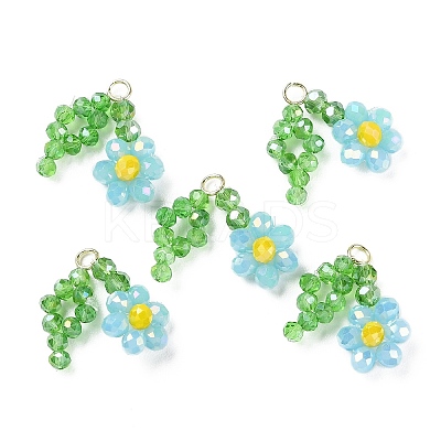 Glass Beaded Pendants GLAA-C028-07B-1