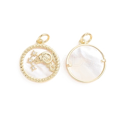 Brass Micro Pave Cubic Zirconia Pendants ZIRC-E164-36F-G-1