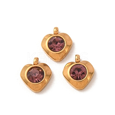 304 Stainless Steel Charms STAS-I165-05G-01-1