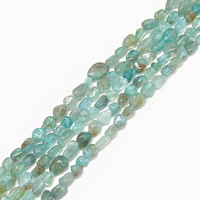 Natural Apatite Beads Strands G-S301-15-1