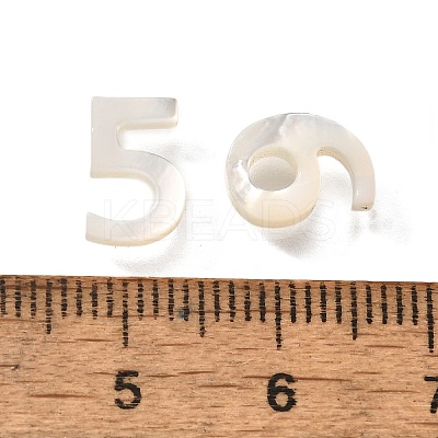 10Pcs 10 Styles Natural Freshwater Shell Beads BSHE-Z008-11-1