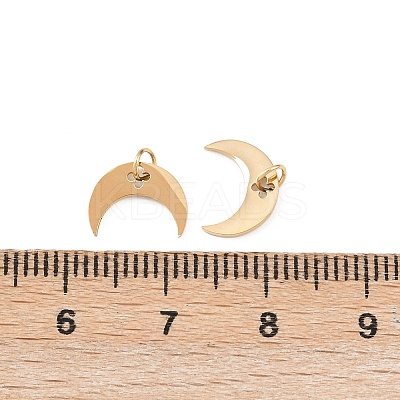304 Stainless Steel Charms STAS-D390-25G-1