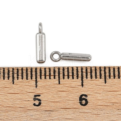 304 Stainless Steel Charms STAS-G356-08P-I-1